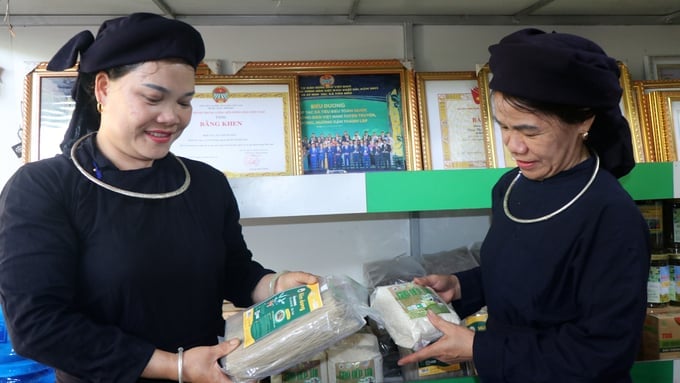 With support in the acquisition of a canna root grinder, Yen Duong Cooperative (Ba Be District) have earned a 3-star OCOP rating for its vermicelli products. Photo: NT.