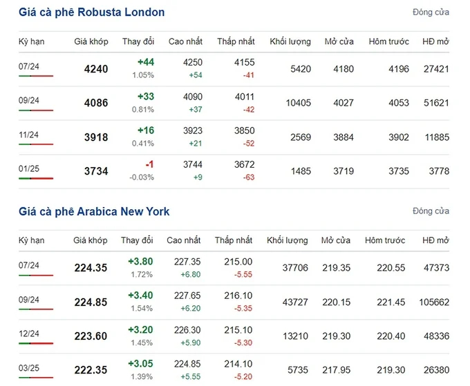 Latest Arabica and Robusta Prices on 06/13/2024