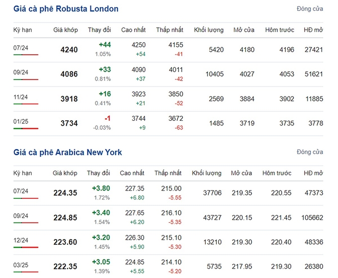 Giá Arabica và Robusta mới nhất ngày 13/6/2024