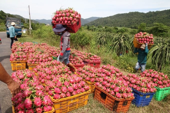 Dragon fruit and durian are two major agricultural export products, but they are currently subject to inspections at the border when exported to the EU.