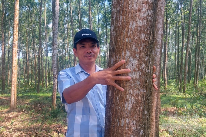 Cơ hội đã mở với người trồng rừng huyện Cam Lộ. Ảnh: Võ Dũng.