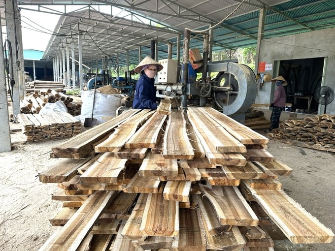 Trung bình mỗi năm, HTX Nông nghiệp Hiệp Thuận xuất ra thị trường từ 600 - 800 tấn gỗ ghép thanh và nhiều sản phẩm khác, mang lại doanh thu hàng chục tỷ đồng. Ảnh: L.K.