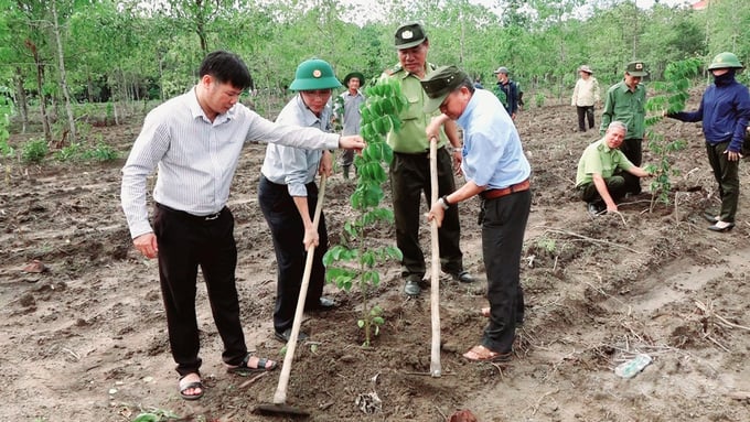 Công tác trồng rừng hàng năm là một trong những nhiệm vụ rất quan trọng đối với Ban quản lý nhằm phủ xanh và phát triển rừng. Ảnh: Minh Sáng.