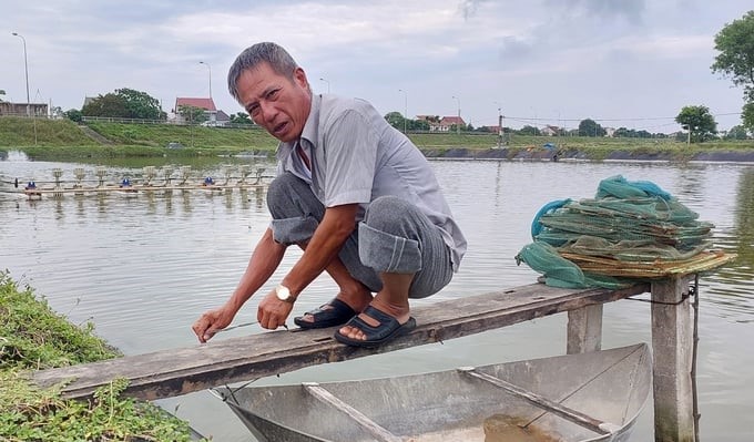 Shrimp, which once brought billions of dong easily to Mr. Tran Huy Thao's family, is now the cause of misery for the farmers. Photo: Ngoc Linh.