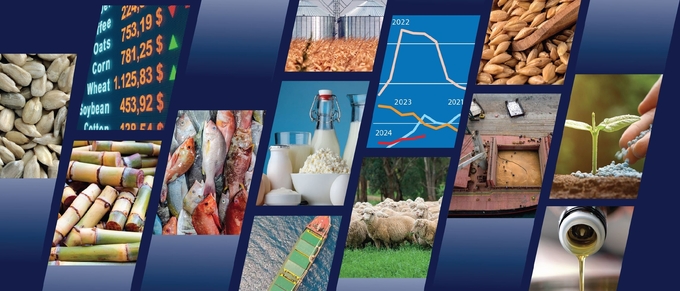 The Food Outlook also includes a special chapter focusing on fertilizers, offering a comprehensive review of global fertilizer trade between 2021 and 2023 and a short-term market outlook for 2024/25.