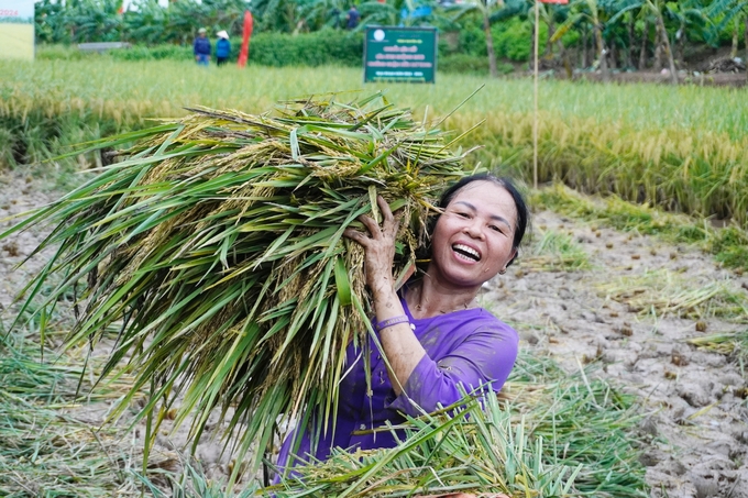 Niềm vui của thành viên đội thôn Thanh Kỳ (xã An Thanh) khi đem những bó lúa vừa gặt xong, được bó buộc gọn gàng về địa điểm tập kết. 