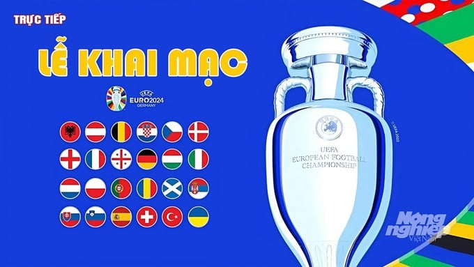 Link xem trực tiếp lễ khai mạc giải bóng đá EURO 2024