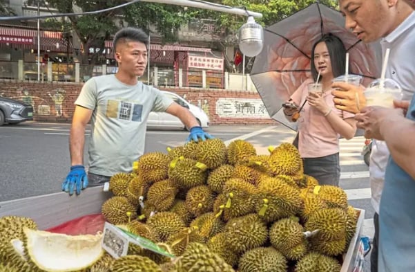 Soaring popularity: A street vendor sells durians in Nanning, China. The country now accounts for 91% of global demand for the fruit. Photo: Bloomberg