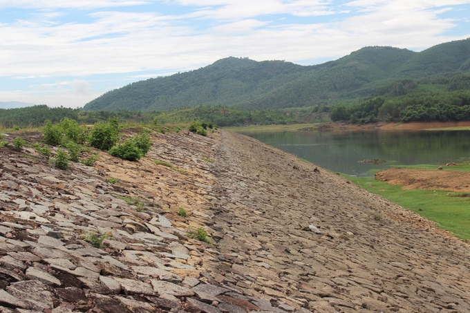 Hồ chứa nước Cây Thích ở xã Phước Thành (huyện Tuy Phước, Bình Định) xuống cấp, bị thấm rất lớn, thấm dọc theo mái hạ lưu. Ảnh: Vũ Đình Thung.