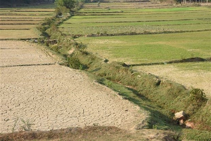 According to 2022 statistics, currently, about 40% of the world's land area is degraded, causing economic losses of up to 43,000 billion USD globally. Photo: Archive.