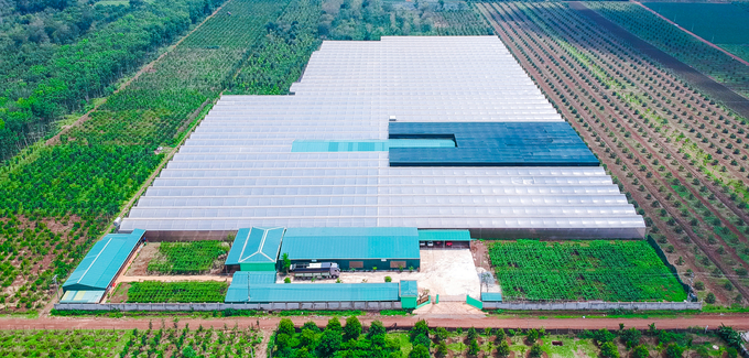 Trung tâm Nghiên cứu và Sản xuất giống cây trồng công nghệ cao của TC Group. Ảnh: Quang Yên.