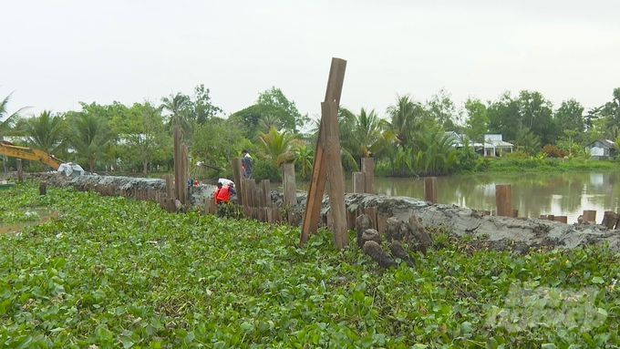 Công trình đập tạm trên kênh Tam Sóc, huyện Mỹ Tú, tỉnh Sóc Trăng đã cơ bản hoàn thiện. Ảnh: Văn Vũ.
