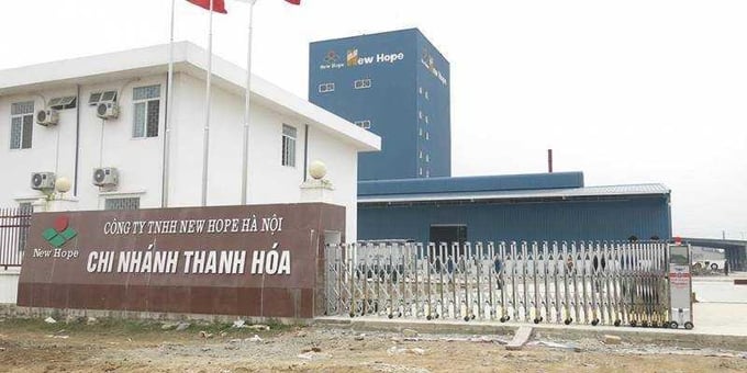Công ty TNHH Newhope Chi nhánh Thanh Hóa. 