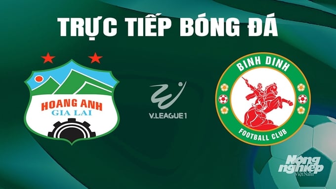 Trực tiếp bóng đá V-League 2023/24 giữa HAGL vs Bình Định hôm nay 16/6/2024