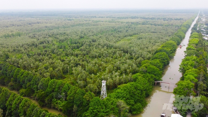 Lung Ngoc Hoang Nature Reserve is dubbed the 'green lung' of the Mekong Delta. Photo: Van Vu.