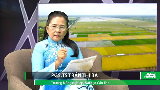 PGS. TS Trần Thị Ba chia sẻ tại Tọa đàm 'Chuyển đổi sang nông nghiệp hữu cơ cần thêm sự trợ lực' do Báo Nông nghiệp Việt Nam thực hiện. Ảnh: Kim Anh.