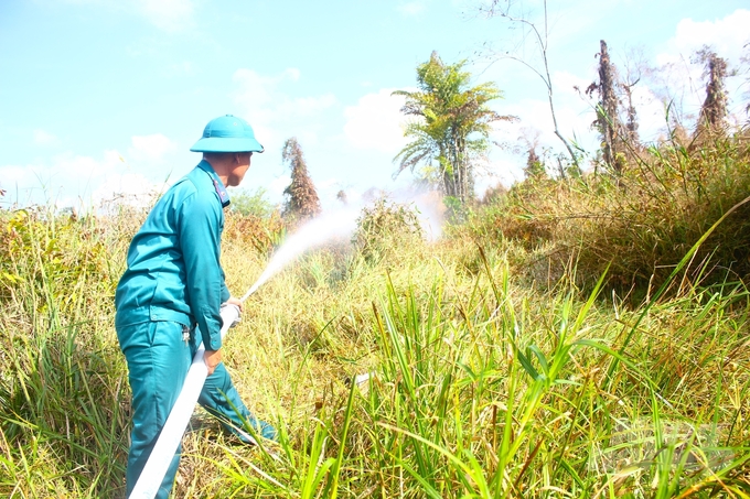 With the proactive implementation of coordinated strategies, Hau Giang province has not reported any forest fires to date. Photo: Van Vu.