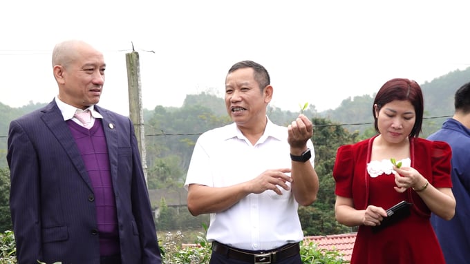 Ông Tô Văn Khiêm (giữa) giới thiệu sản phẩm chè của HTX Chè an toàn Khe Cốc với khách tham quan. Ảnh: Quang Linh.