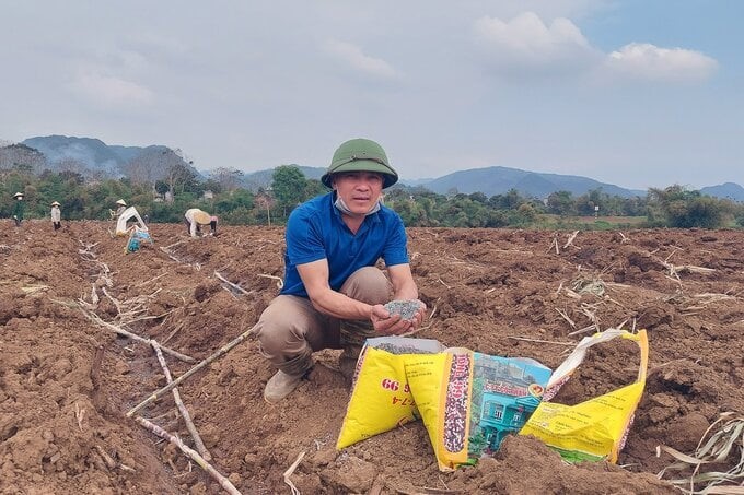 Long-term dependence and abuse of chemical fertilizers cause soil to have less biodiversity and become more and more seriously degraded. Photo: Vo Dung.