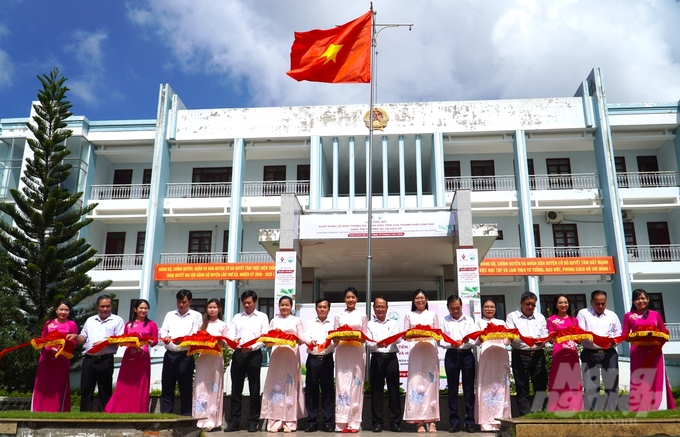 Việc xuất khẩu thành công lô xoài tượng da xanh của Cần Thơ vào thị trường Úc và Mỹ, mở ra hướng đi mới cho trái xoài Việt Nam. Ảnh: Kim Anh.