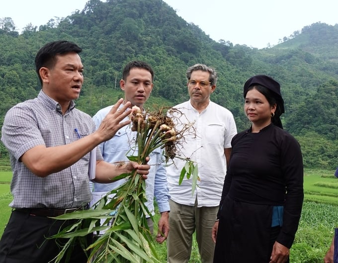 CSSP leaders in Bac Kan province conduct on-site inspections of community models. Photo: CSSP Bac Kan.