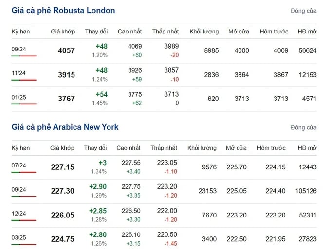 Latest Arabica and Robusta coffee prices on 06/18/2024