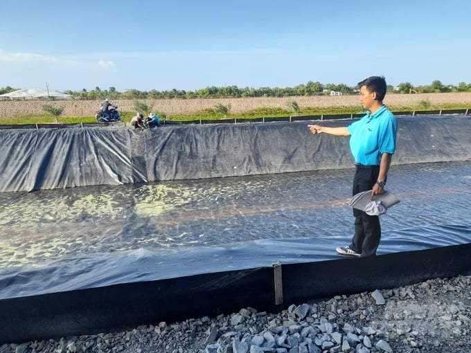 Farmers breeding white-leg shrimp in Duyen Hai district (Tra Vinh province) are inspecting their ponds. Photo: Ho Thao.