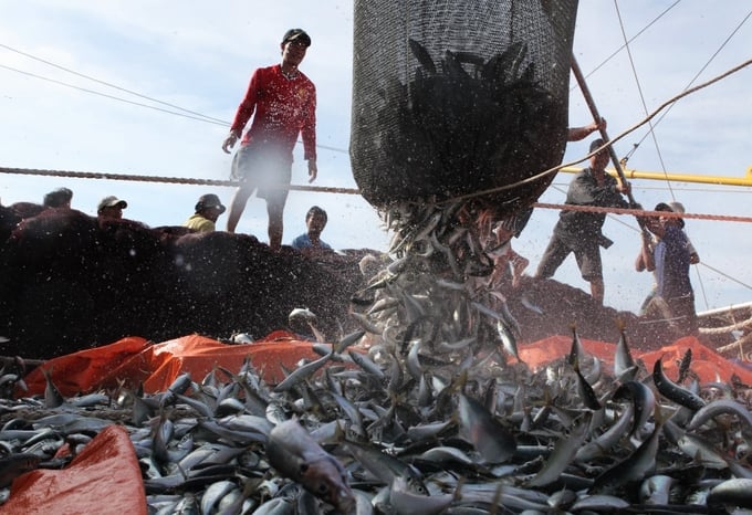 Strict measures against illegal fishing vessel accomplices