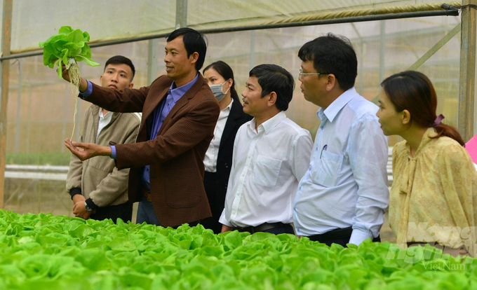 Phó Giám đốc Văn phòng SPS Việt Nam Ngô Xuân Nam (thứ 2 từ phải sang) và Phó tổng biên tập Báo Nông nghiệp Việt Nam (thứ 3 từ phải sang) đi khảo sát mô hình trồng rau trong nhà màng.