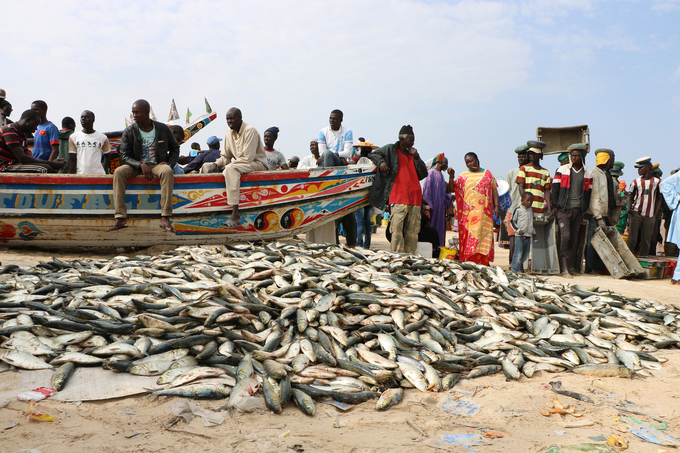 Overfishing, pollution and climate change are putting increasing pressure on Senegal's rich fisheries. Photo: Sipanews.