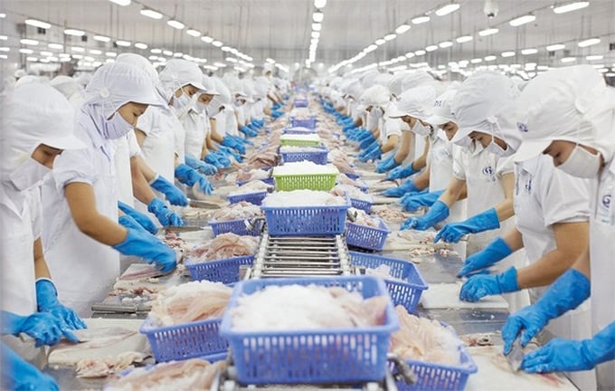 In the first 5 months of 2024, agricultural products exported to Russia increased sharply, of which seafood reached USD 76.4 million, an increase of 87.7%.