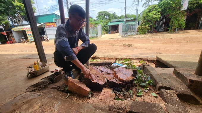 Đường liên xã nhánh 2 từ xã Ia Krái đi xã Ia Khai (huyện Ia Grai) đang thi công, người dân sẵn sàng hiến cây cối. Ảnh: Tuấn Anh.