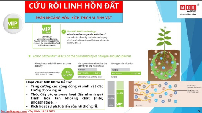 Các dòng sản phẩm phân bón có công nghệ MIP@ Rhizo – Pháp của Công ty TNHH Ngô Agro Việt Nam.