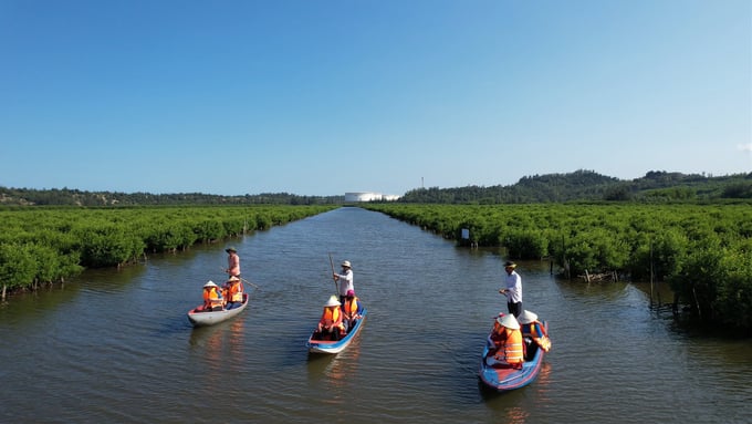 Beyond its role as a green lung, the Bau Ca Cai mangrove forest has become an attractive community tourism destination for many visitors. Photo: L.K.