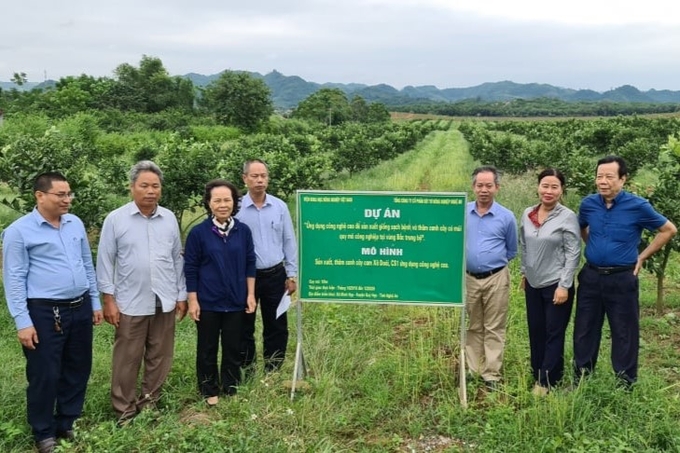 GS. TS Vũ Mạnh Hải (bìa phải) tại mô hình trồng cam ứng dụng công nghệ cao ở Quỳ Hợp, Nghệ An. Ảnh: NVCC.