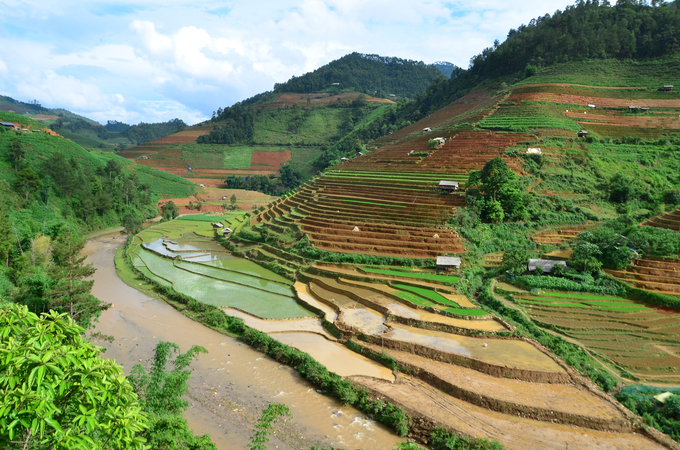 Những thửa ruộng bậc thang mùa nước đổ. Ảnh: Dương Đình Tường.