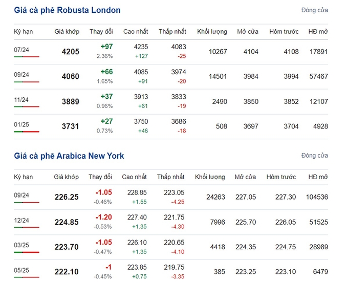 Giá Arabica và Robusta mới nhất ngày 20/6/2024