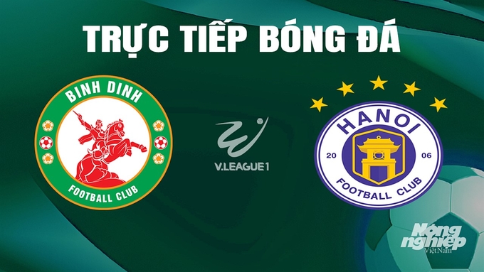 Trực tiếp bóng đá V-League 2023/24 giữa Bình Định vs Hà Nội hôm nay 20/6/2024