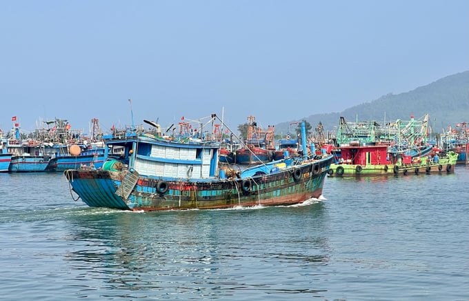 TP Đà Nẵng đã cập nhật đầy đủ dữ liệu 1.188 tàu cá đã đăng ký vào cơ sở dữ liệu nghề cá quốc gia (VNFishbase). Ảnh: L.K.