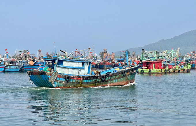 Da Nang City has fully updated the data of 1,188 registered fishing vessels in the national fisheries database (VNFishbase). Photo: L.K.