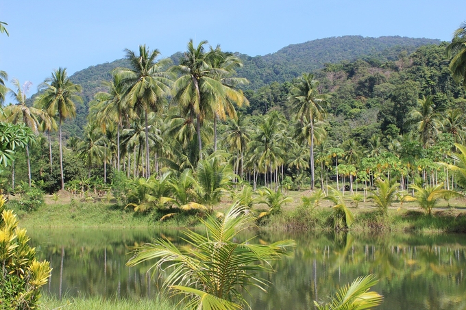 The findings also mean that while carbon is taken up by plants quicker than thought, the carbon is also locked up for a shorter time, meaning carbon from human activities will be released back into the atmosphere sooner than previously predicted.