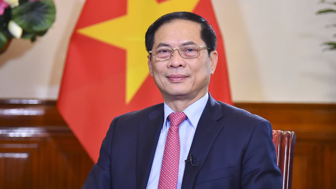 Minister of Foreign Affairs Bui Thanh Son. Photo: MOFA.