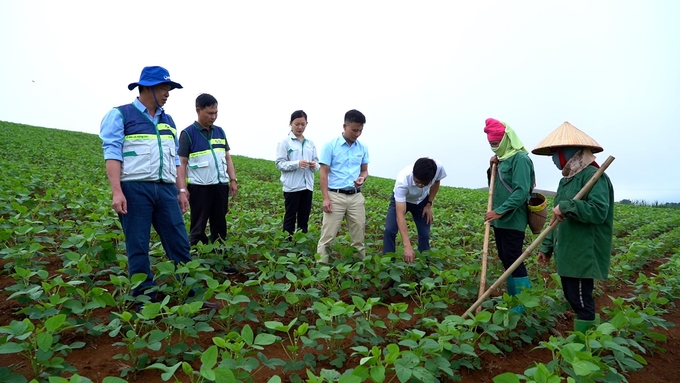 Nông nghiệp Sơn La đạt được nhiều thành tựu rõ nét. Ảnh: Hoàng Anh. 