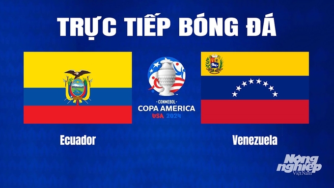 Trực tiếp bóng đá Copa America giữa Ecuador vs Venezuela hôm nay 23/6/2024