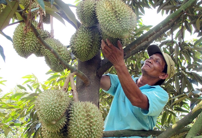 Báo chí là tấm gương phản chiếu chân thực, sinh động nhất tình hình thực tế trong sản xuất. Ảnh: TL.