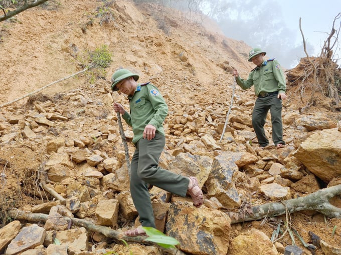 Lực lượng bảo vệ rừng chuyên trách của Nghệ An nhiều năm chịu cảnh thua thiệt. Ảnh: Việt Khánh.