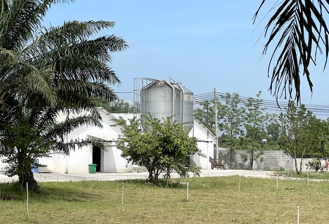 Một trang trại nuôi gà công nghiệp ở huyện Xuân Lộc, Đồng Nai. Ảnh: Thanh Sơn.
