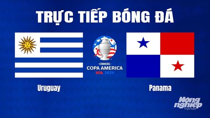 Trực tiếp bóng đá Copa America 2024 giữa Uruguay vs Panama hôm nay 24/6/2024
