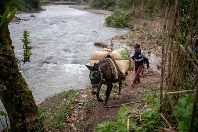 These integrated agrifood system solutions will make a difference to lives, livelihoods and the planet.