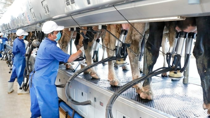 Thời điểm hiện tại, tỉnh Bình Dương có khoảng 189 trang trại chăn nuôi gà, vịt và 251 trang trại chăn nuôi gia súc ứng dụng công nghệ cao. Ảnh: Trần Trung.